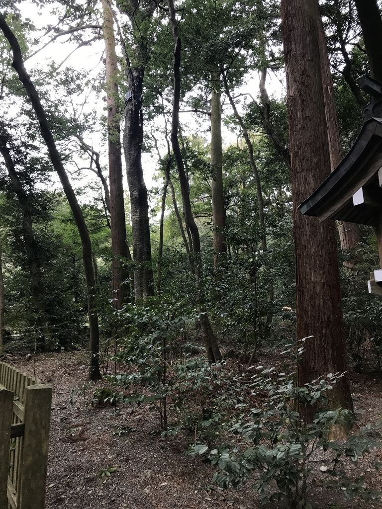 f:id:Kaoriok:20190116154224j:plain f:id:Kaoriok:20190116154224j:plain
