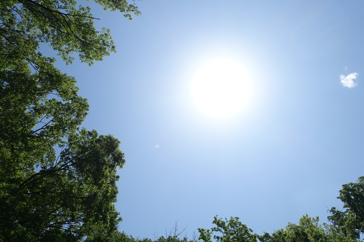 f:id:Kaoriok:20190502205729j:plain f:id:Kaoriok:20190502205729j:plain
