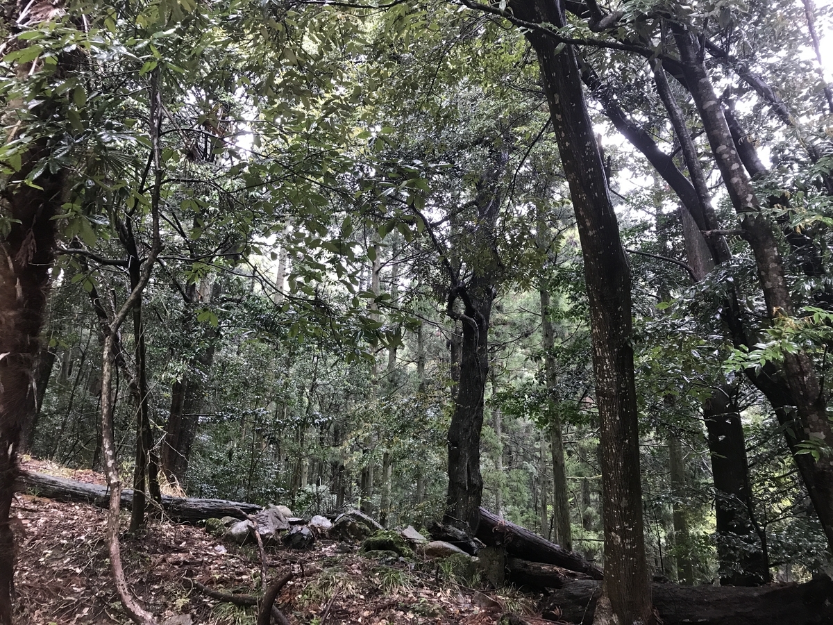 f:id:Kaoriok:20190502221950j:plain f:id:Kaoriok:20190502221950j:plain