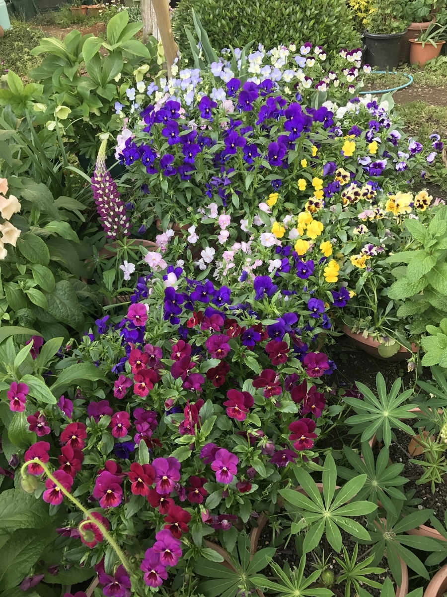 f:id:Kaoriok:20190502224008j:plain f:id:Kaoriok:20190502224008j:plain