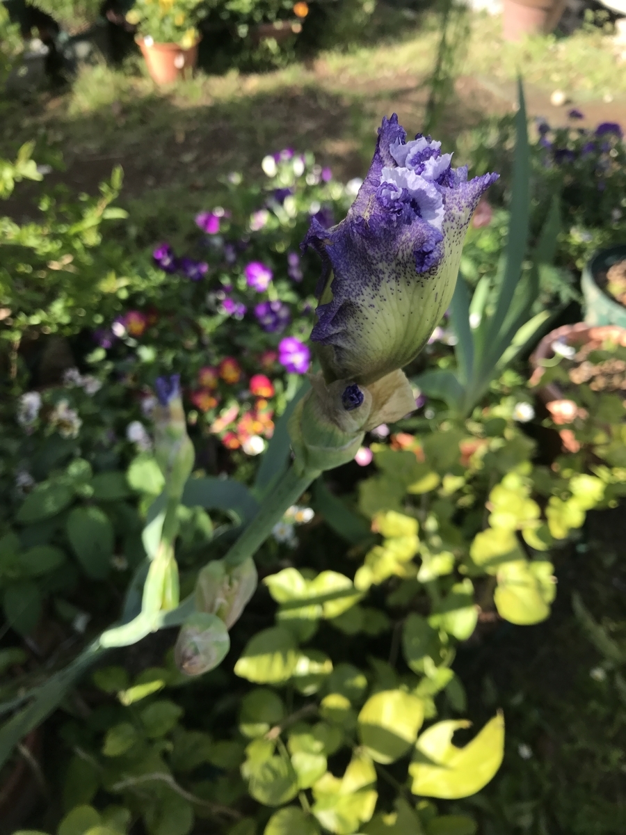 f:id:Kaoriok:20190502224307j:plain f:id:Kaoriok:20190502224307j:plain