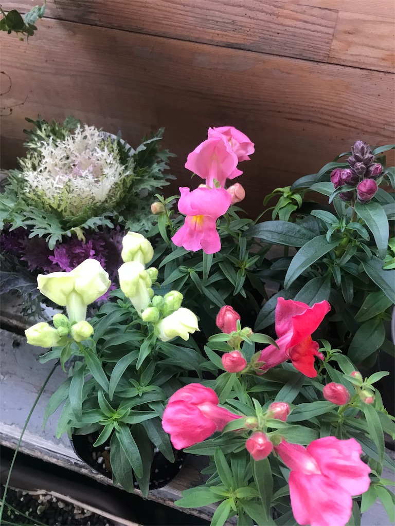 f:id:Kaoriok:20191227074209j:plain f:id:Kaoriok:20191227074209j:plain