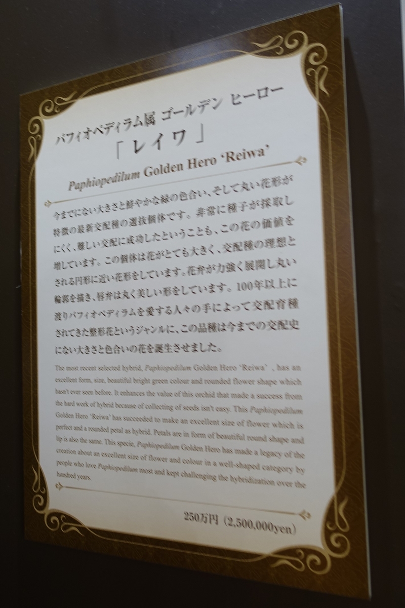 f:id:Kaoriok:20200221153613j:plain f:id:Kaoriok:20200221153613j:plain