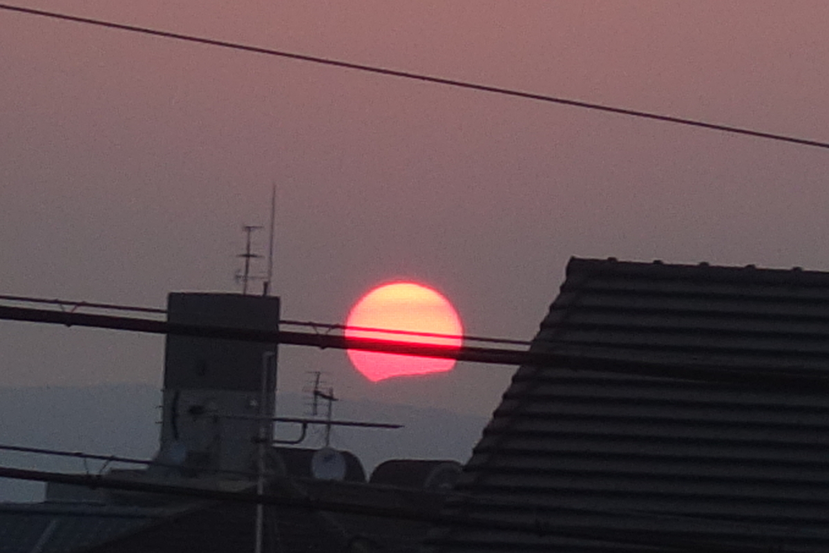 f:id:Kaoriok:20210618211405j:plain