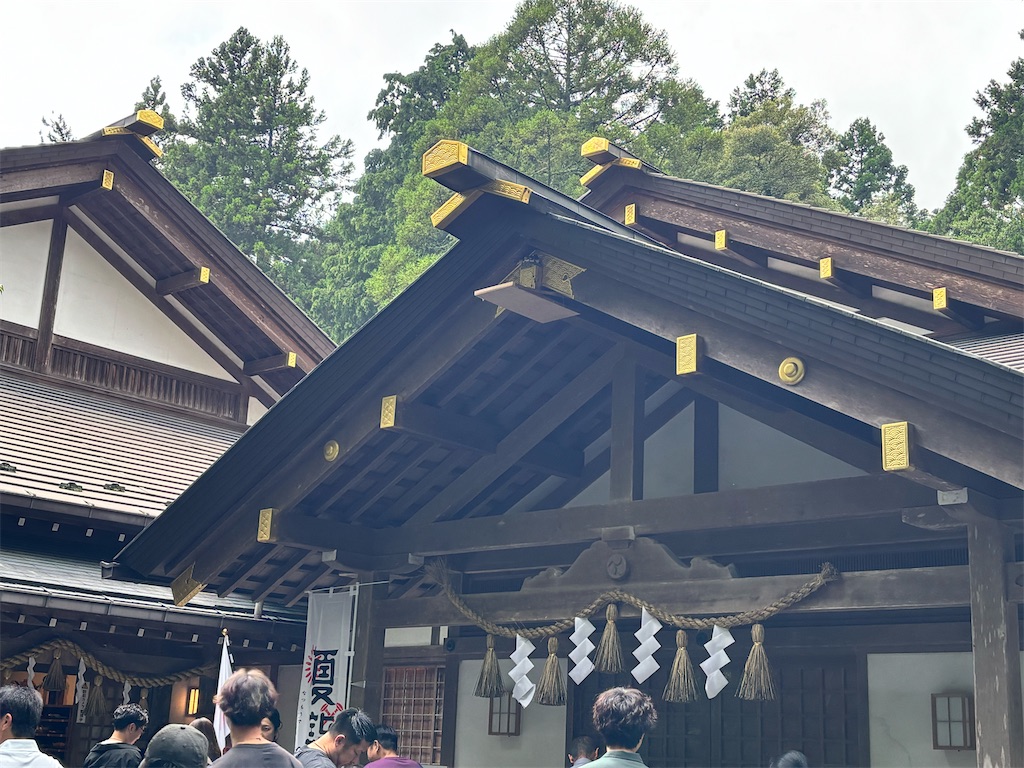 f:id:Kaoriok:20260629232437j:image