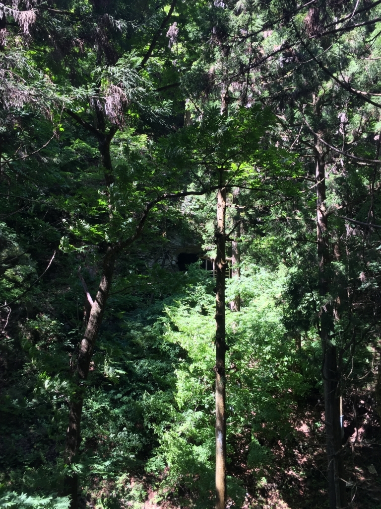 f:id:Kaoru_5w:20180521215339j:plain f:id:Kaoru_5w:20180521215339j:plain