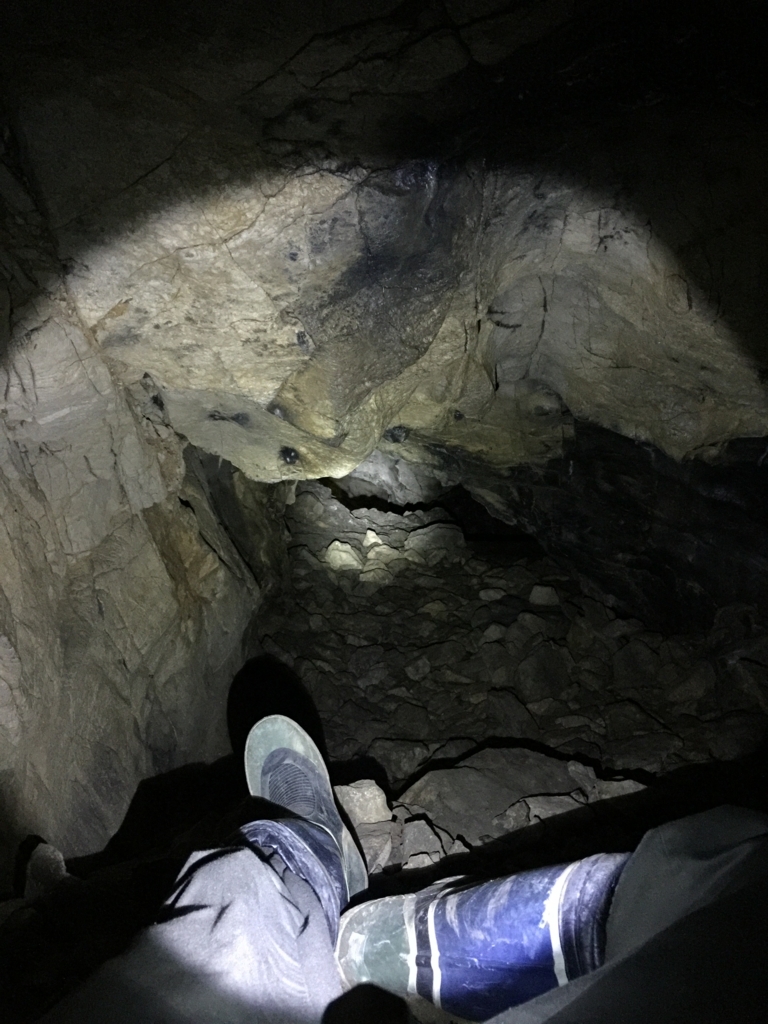 f:id:Kaoru_5w:20180521220658j:plain f:id:Kaoru_5w:20180521220658j:plain