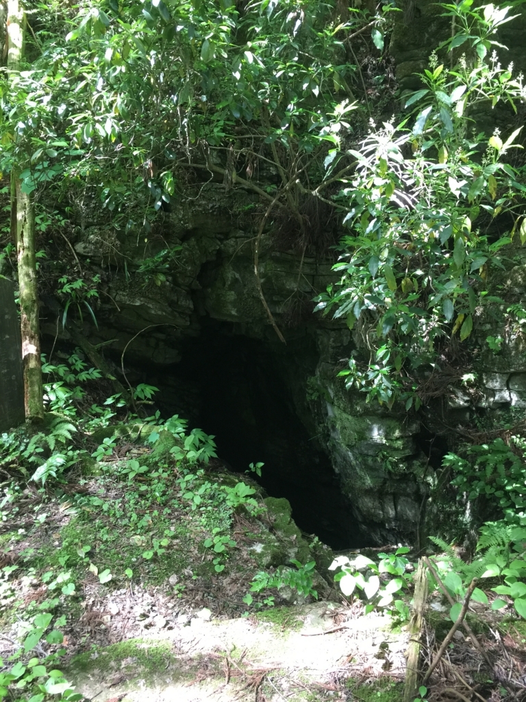 f:id:Kaoru_5w:20180521221634j:plain f:id:Kaoru_5w:20180521221634j:plain