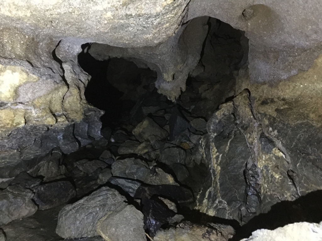 f:id:Kaoru_5w:20180521222550j:plain f:id:Kaoru_5w:20180521222550j:plain