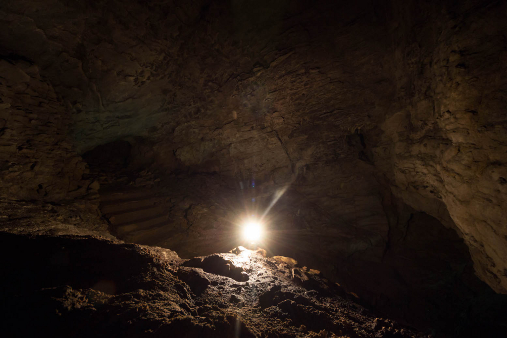 f:id:Kaoru_5w:20180523235301j:plain f:id:Kaoru_5w:20180523235301j:plain