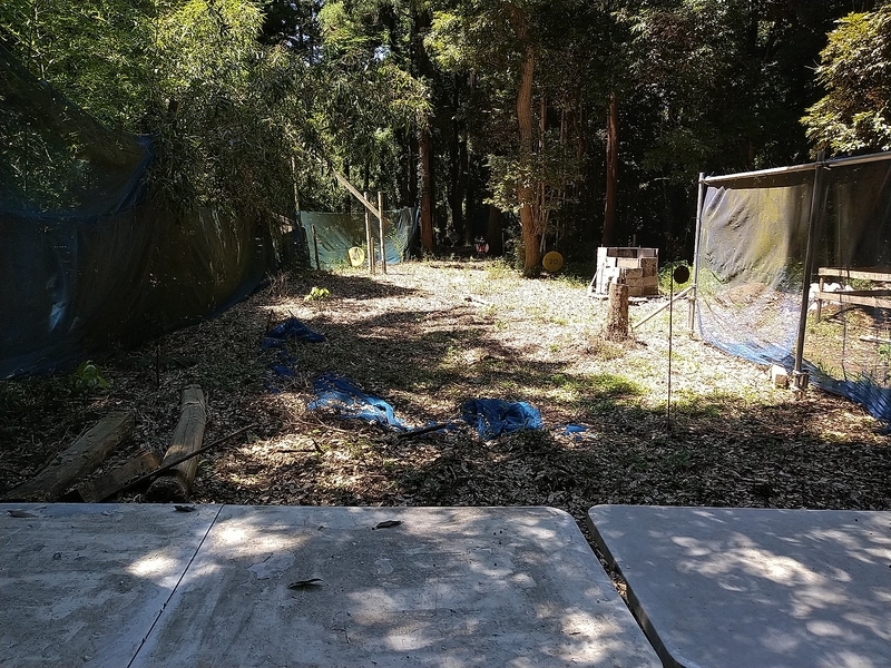 サバゲー日記】XX(ダブルクロス)に行ってきました！ - カラカラの