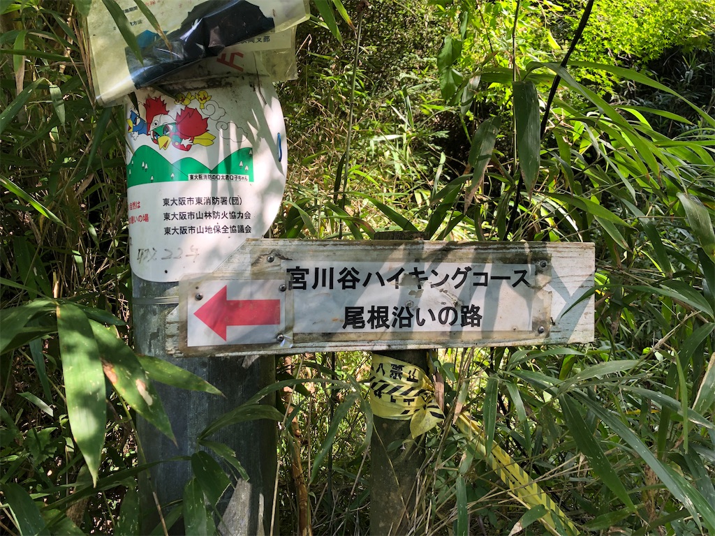 f:id:KaraageTeisyoku:20241011174952j:image