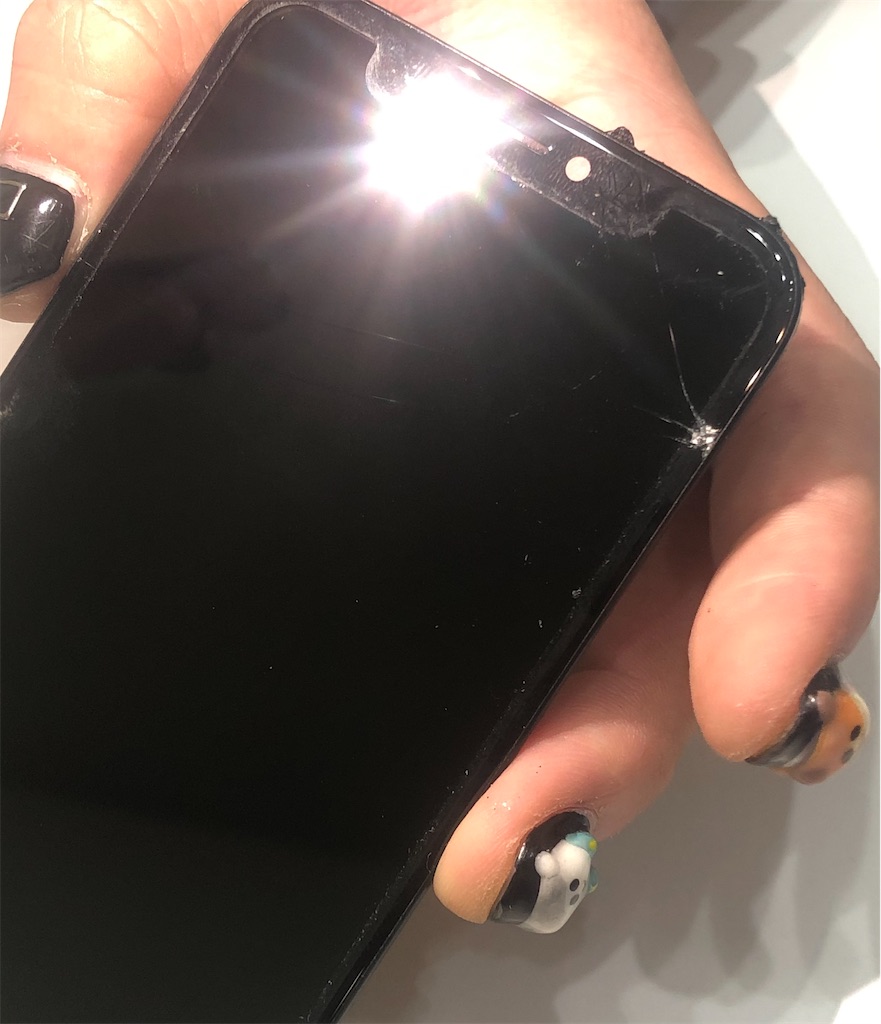 f:id:KaradaKokoro:20210304040147j:image f:id:KaradaKokoro:20210304040147j:image