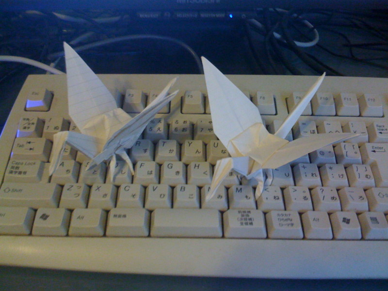 f:id:Karugamo:20081108133636j:image f:id:Karugamo:20081108133636j:image
