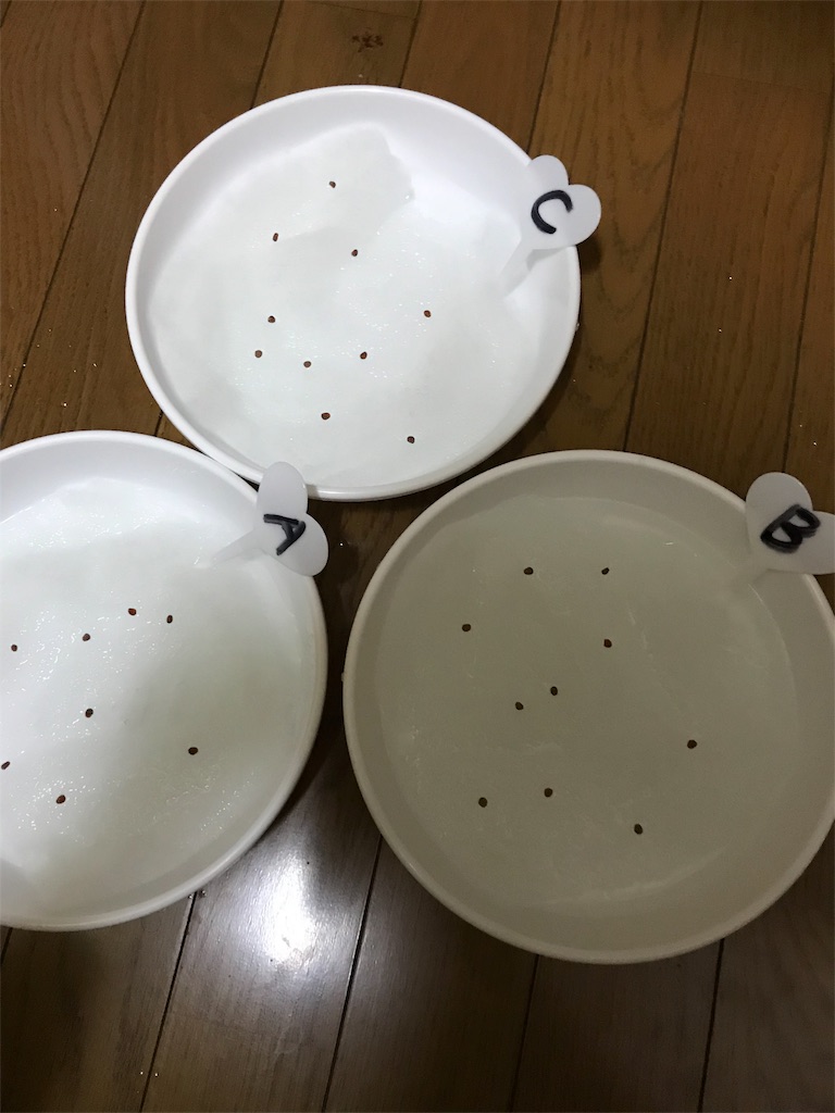 f:id:KaruroF:20180529000835j:image f:id:KaruroF:20180529000835j:image