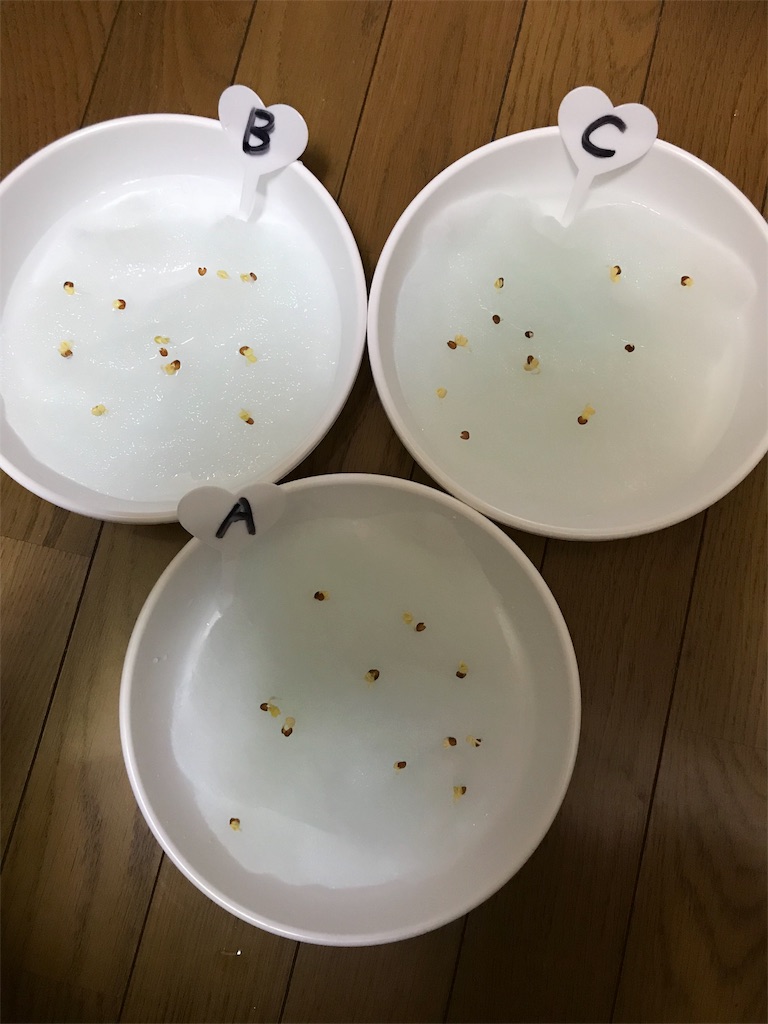 f:id:KaruroF:20180530200540j:image f:id:KaruroF:20180530200540j:image