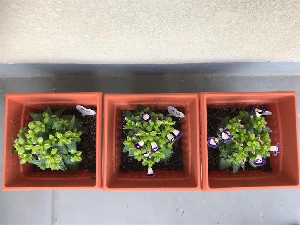 f:id:KaruroF:20180603190524j:image f:id:KaruroF:20180603190524j:image