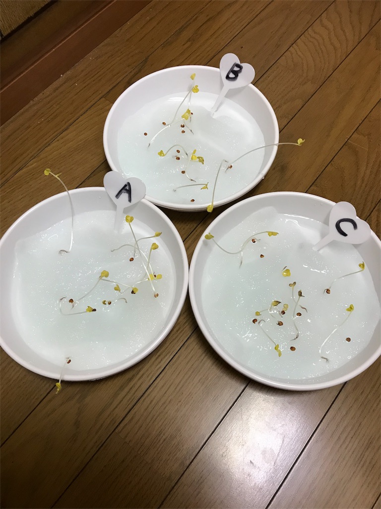 f:id:KaruroF:20180603191000j:image f:id:KaruroF:20180603191000j:image