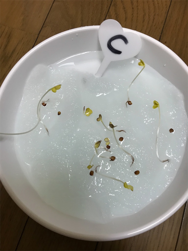 f:id:KaruroF:20180603191147j:image f:id:KaruroF:20180603191147j:image