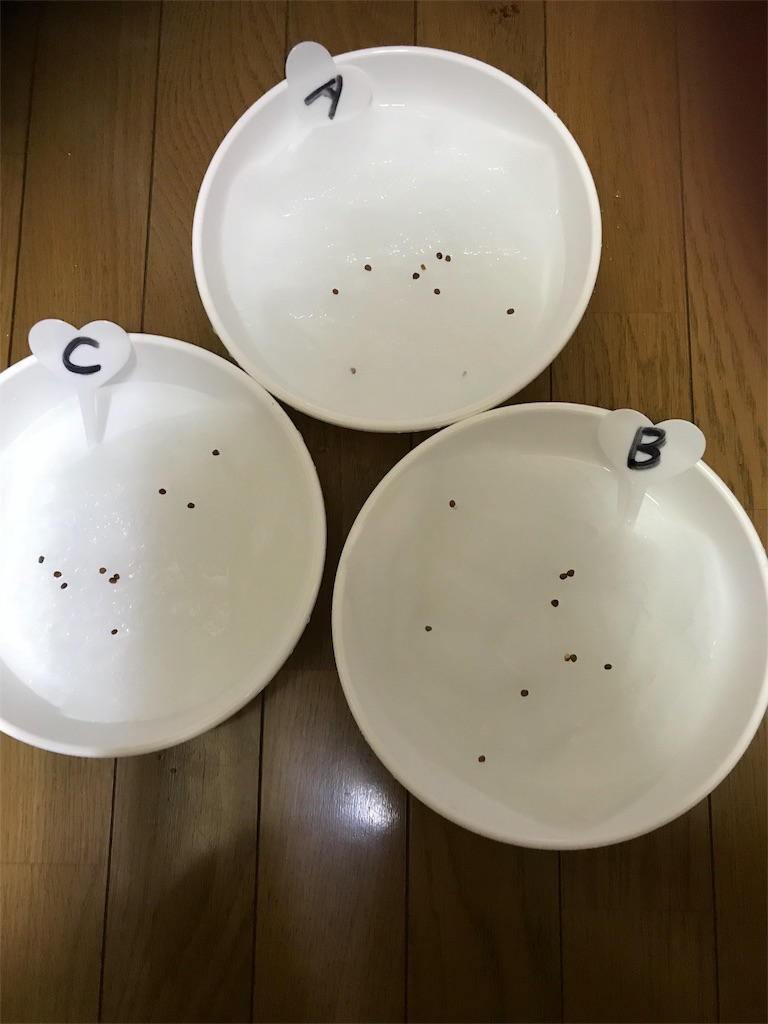f:id:KaruroF:20180609210543j:image f:id:KaruroF:20180609210543j:image