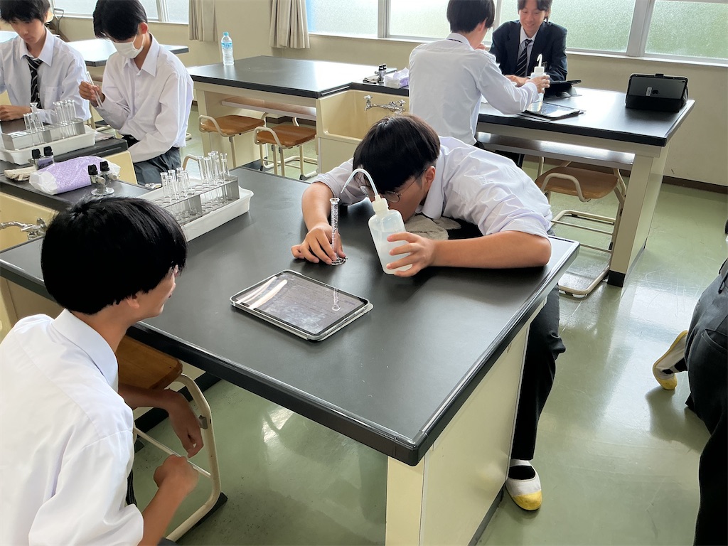 f:id:Kashimiya:20250616162112j:image f:id:Kashimiya:20250616162112j:image