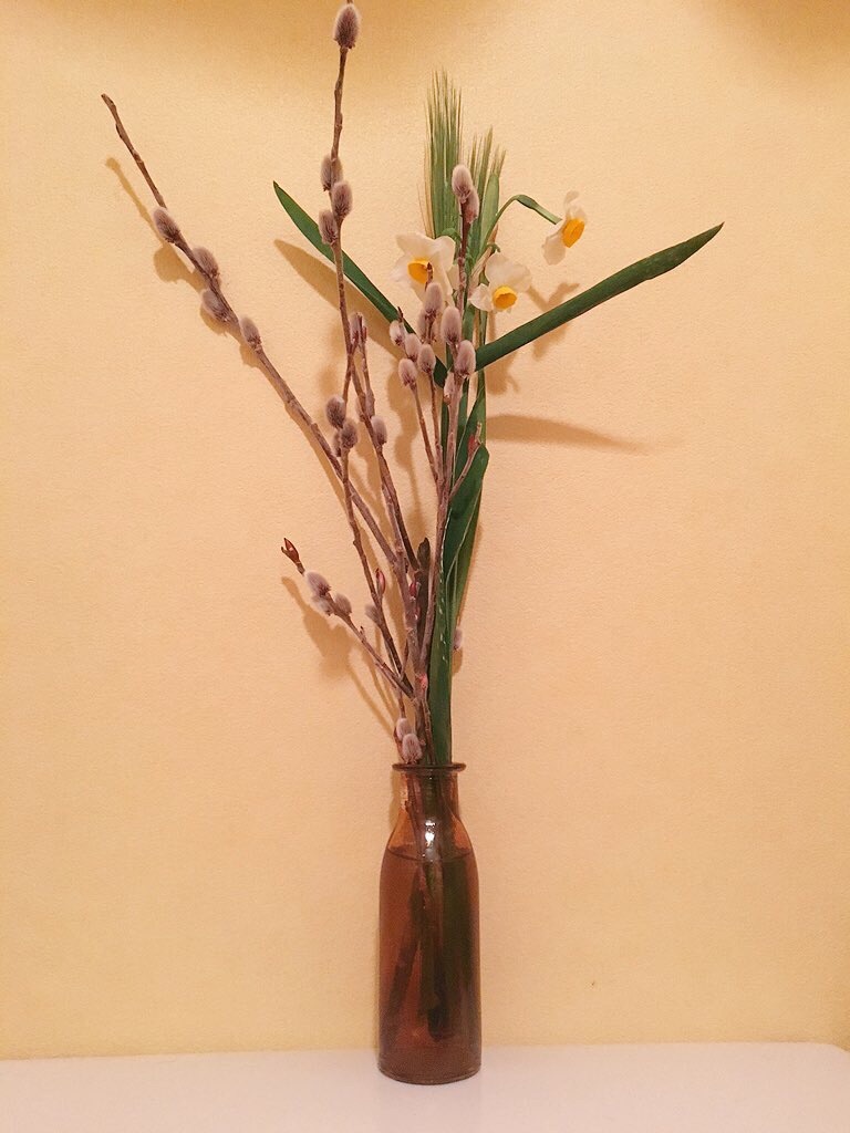 f:id:KasiiyuyU:20160119212737j:image f:id:KasiiyuyU:20160119212737j:image