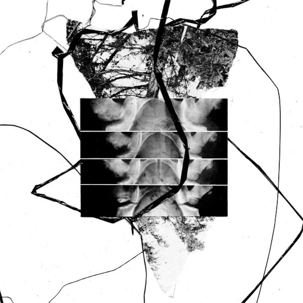 f:id:Kataitoba:20211203082709j:image