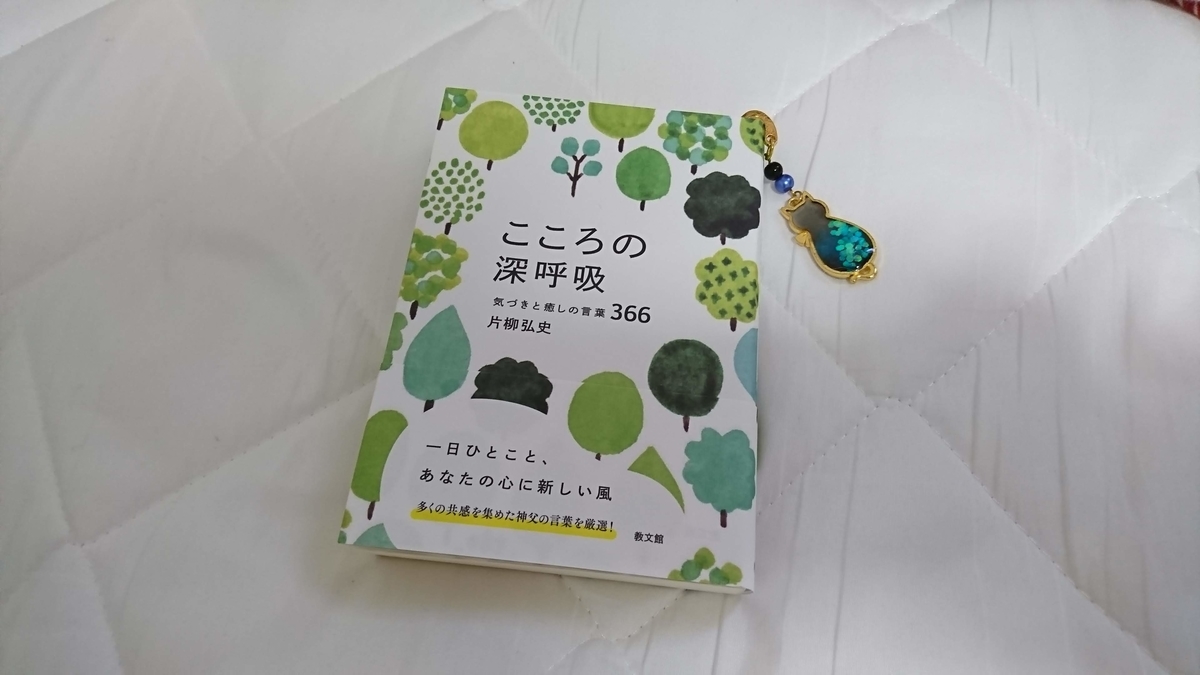 f:id:Katea_Heyts:20190922084821j:plain f:id:Katea_Heyts:20190922084821j:plain