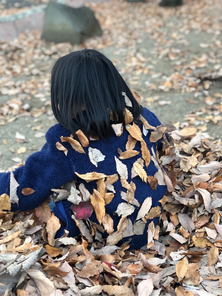 f:id:Katen11:20191201000843j:image