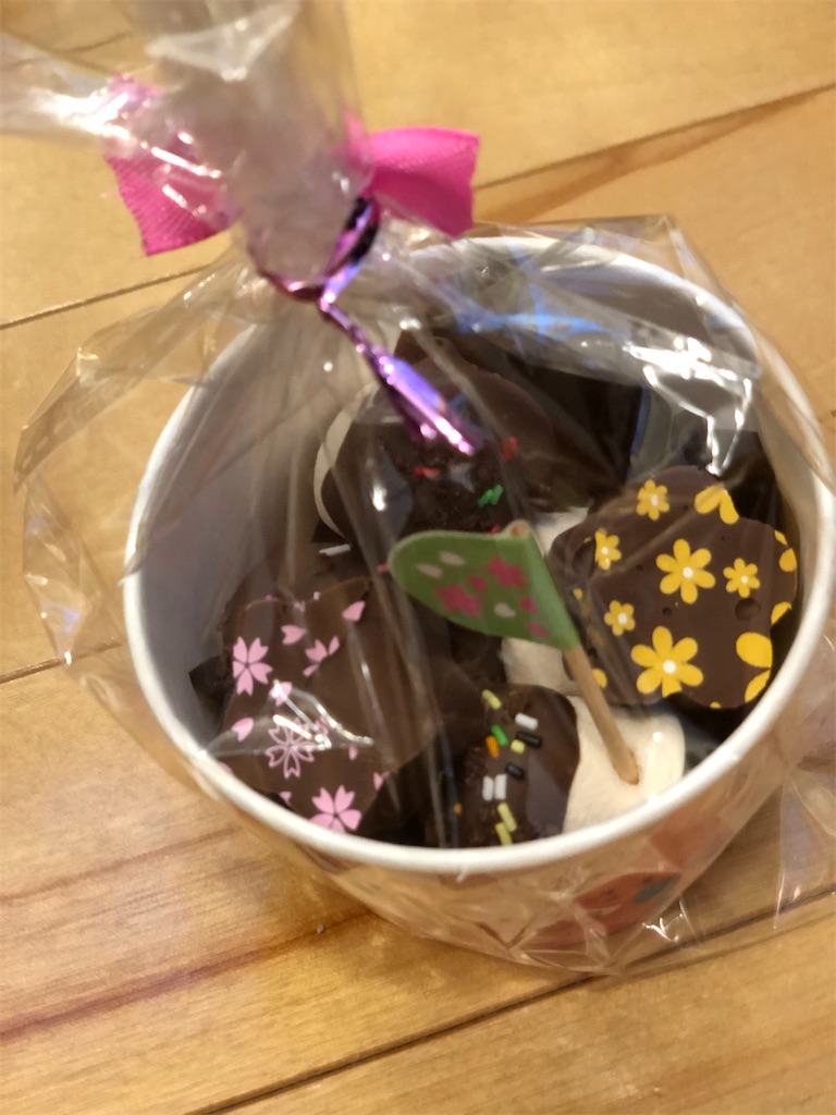 f:id:Katen11:20210214225620j:image