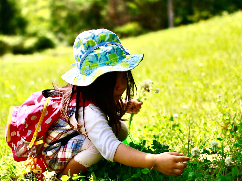 f:id:Katen11:20210221223923j:image
