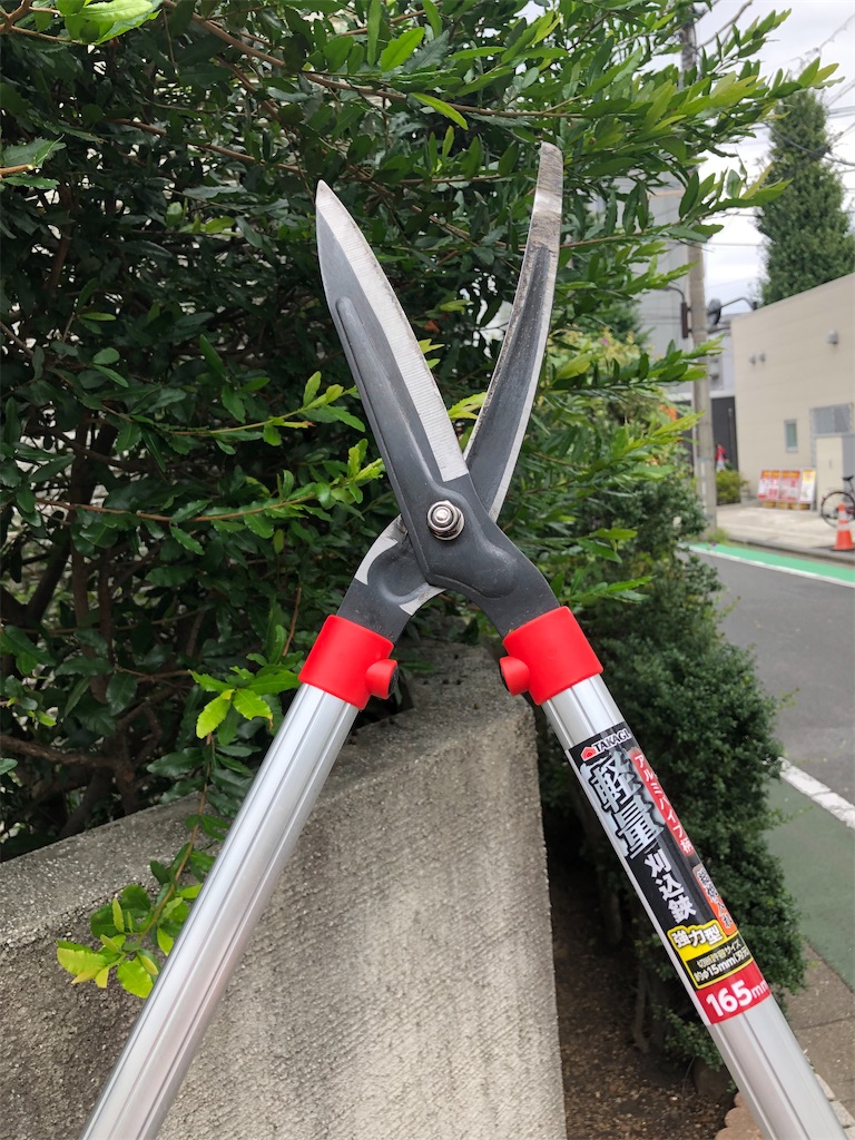 f:id:Katen11:20210829115021j:image