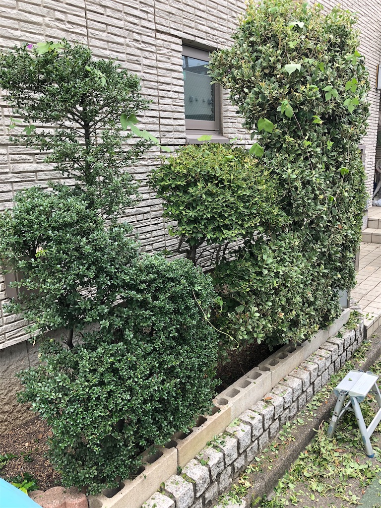 f:id:Katen11:20210829115858j:image