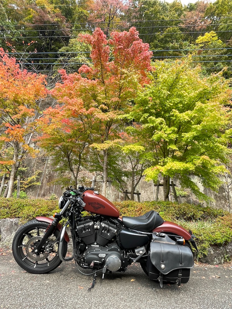 f:id:Katen11:20231109151432j:image