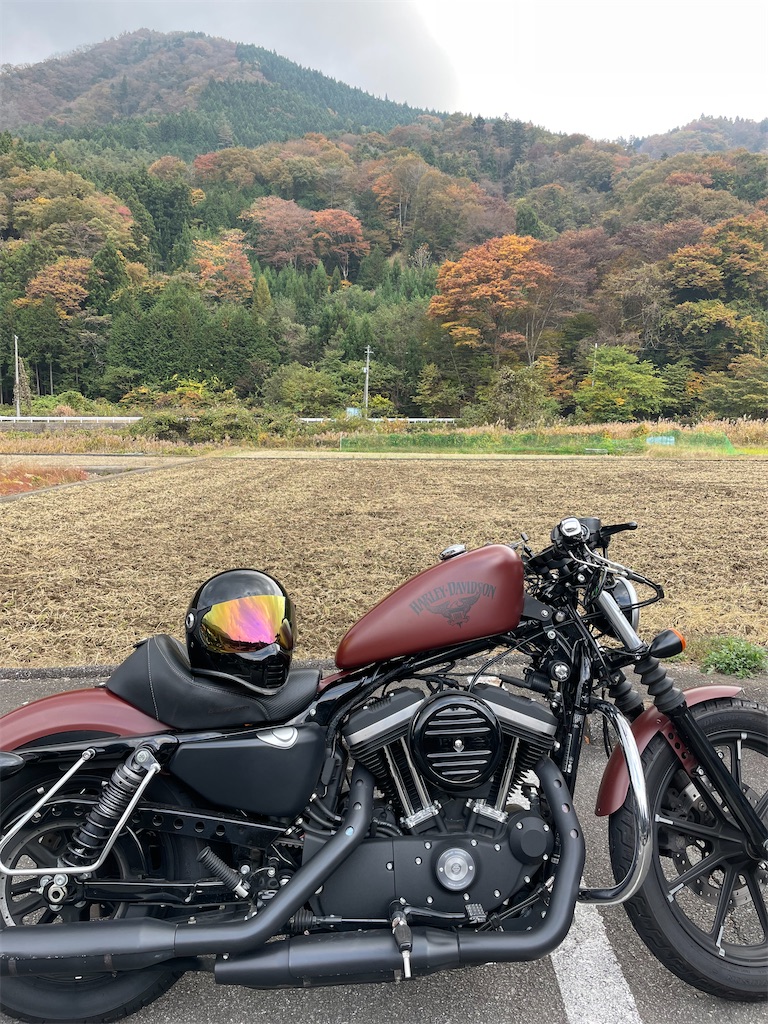 f:id:Katen11:20231109151646j:image