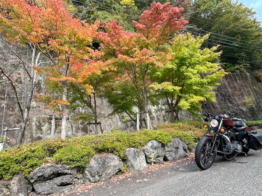 f:id:Katen11:20231109151718j:image