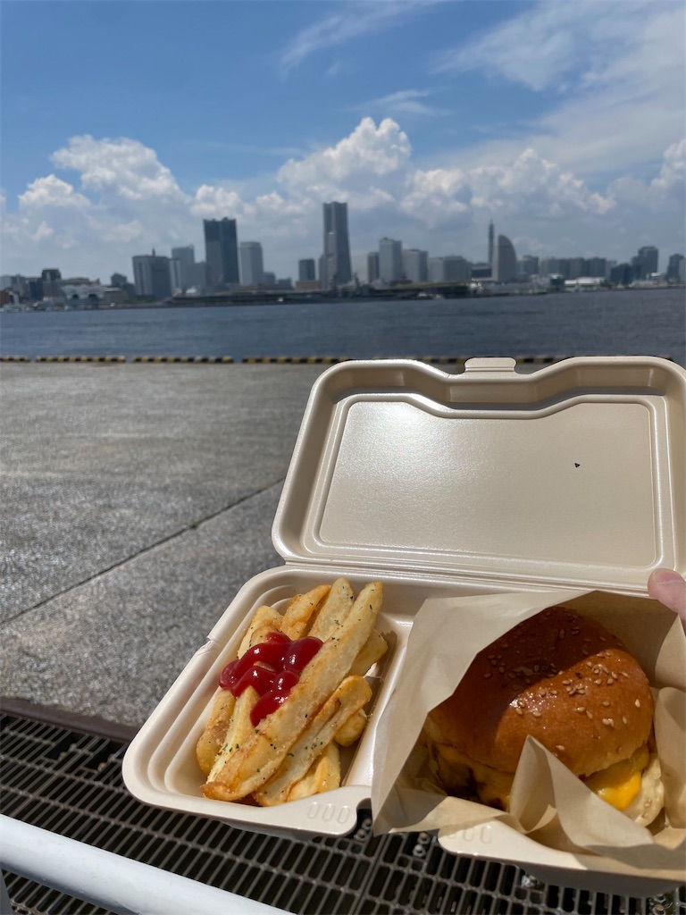 f:id:Katen11:20240603182400j:image