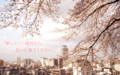 20120306003332