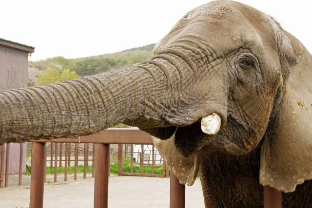 f:id:Katsuox:20170222232326j:plain f:id:Katsuox:20170222232326j:plain