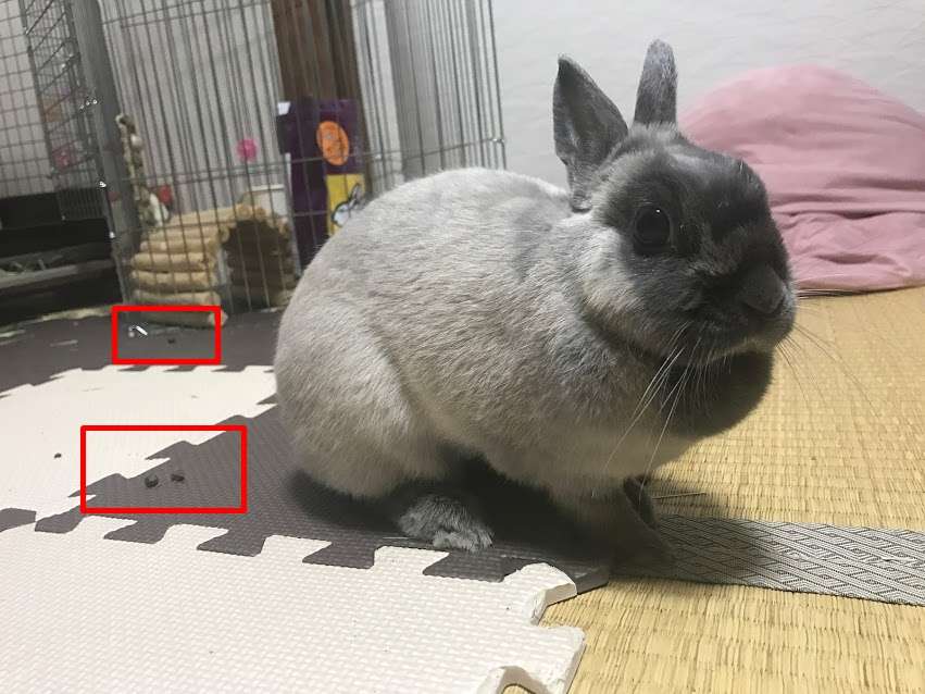 f:id:Katsuox:20170401193619j:plain f:id:Katsuox:20170401193619j:plain