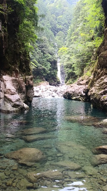 f:id:KatsuyaHamaguchi:20210604200947j:image