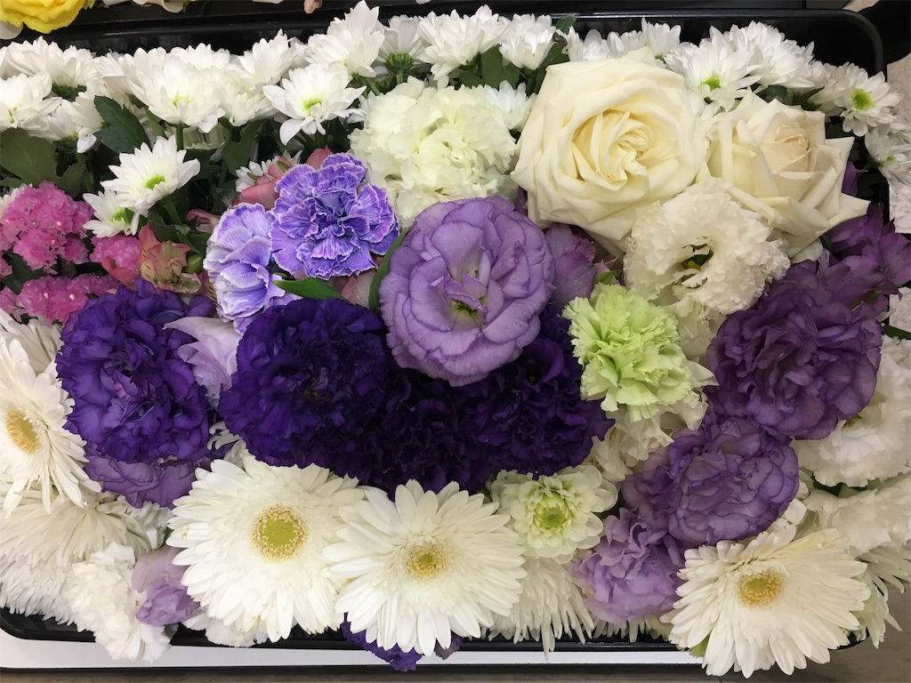 f:id:KawaiRyoko:20191026000932j:image