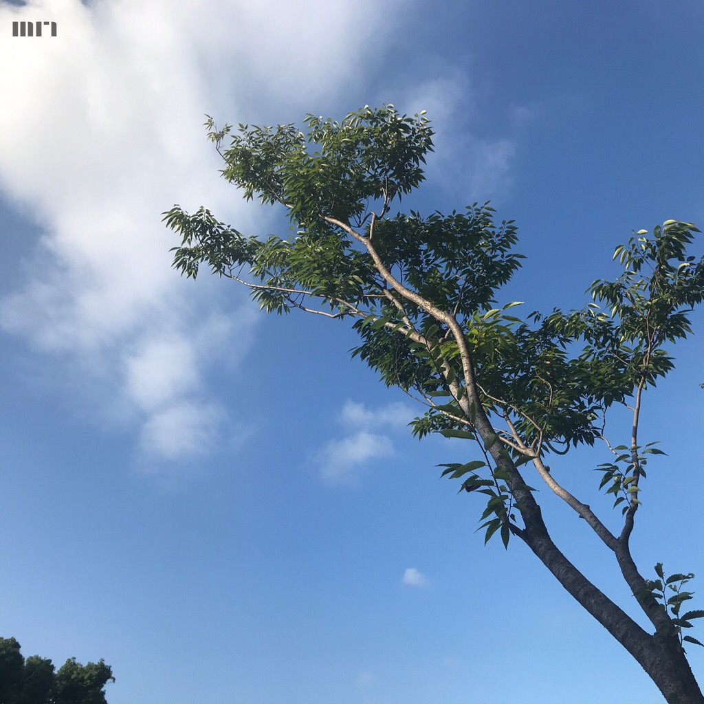 f:id:Kawan0116:20180721074347j:plain f:id:Kawan0116:20180721074347j:plain