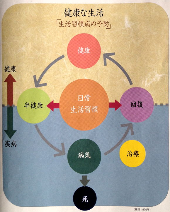 02 健康な生活 - 肝臓病と共に生きる人たちを応援します
