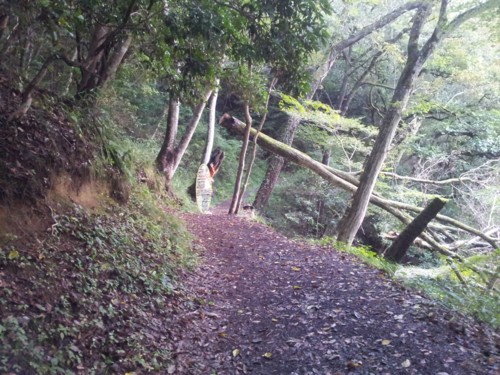 f:id:Kaye:20121007175226j:image
