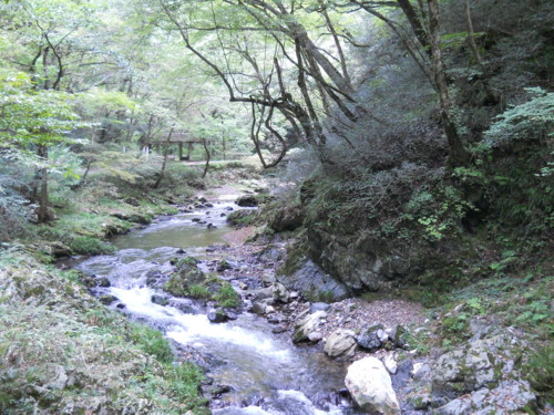 f:id:Kaye:20121007175915j:image