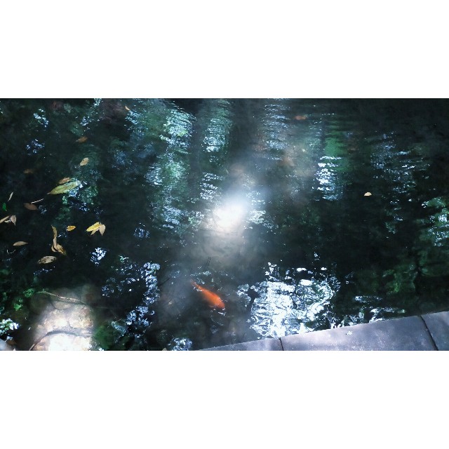 f:id:Kayoco7:20260823101105j:image