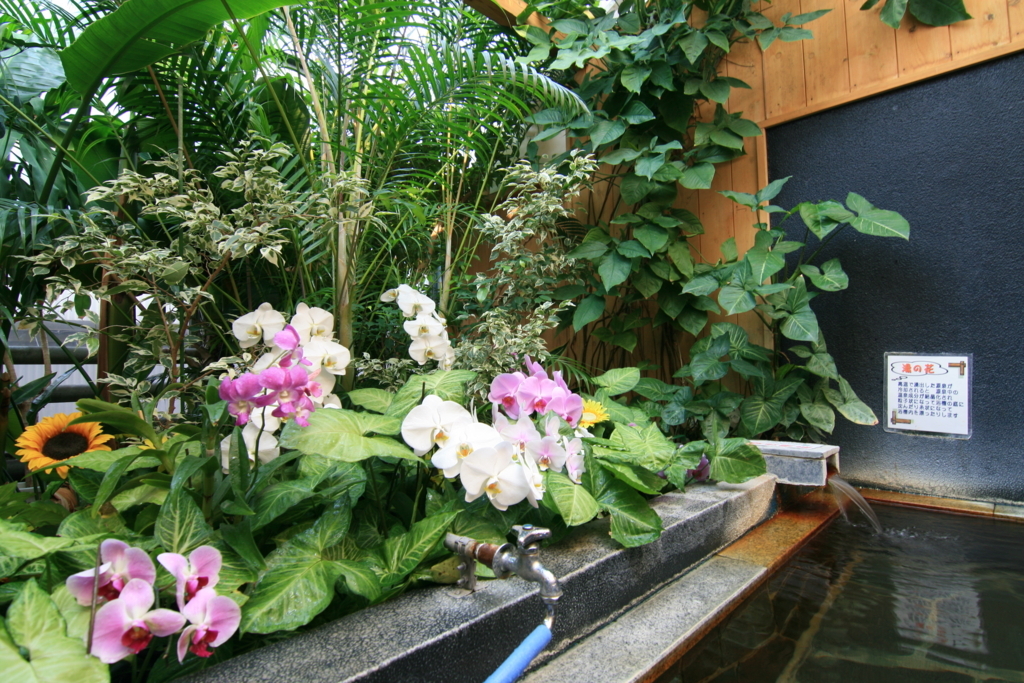 f:id:Kazdorado:20180209144943j:plain f:id:Kazdorado:20180209144943j:plain