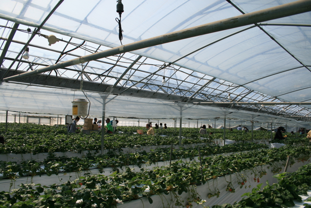 f:id:Kazdorado:20180330191959j:plain f:id:Kazdorado:20180330191959j:plain