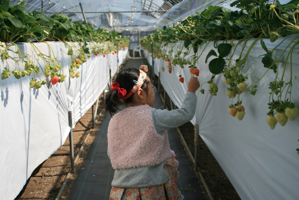 f:id:Kazdorado:20180330192058j:plain f:id:Kazdorado:20180330192058j:plain